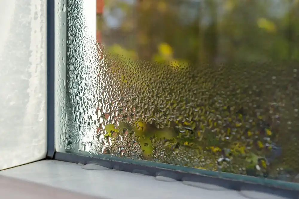 Beat Winter Condensation in Queenstown – Paint & Maintenance Guide